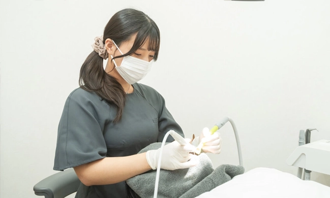 一人ひとりに合ったメンテナンス指導を行う歯科衛生士