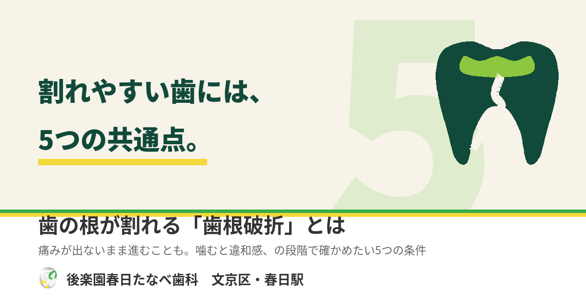 文京区春日の歯医者 後楽園春日たなべ歯科 歯根破折の解説